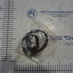 Сигнализатор заднего хода 12-24V
